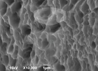 Registre-se para poder abrir essa imagem gratuitamente.