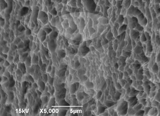 Registre-se para poder abrir essa imagem gratuitamente.