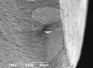 Registre-se para poder abrir essa imagem gratuitamente.