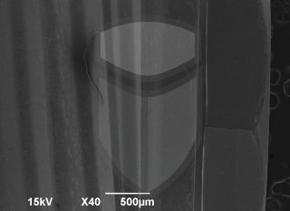 Registre-se para poder abrir essa imagem gratuitamente.