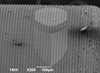 Registre-se para poder abrir essa imagem gratuitamente.