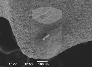 Registre-se para poder abrir essa imagem gratuitamente.