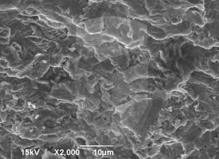 Registre-se para poder abrir essa imagem gratuitamente.