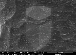 Registre-se para poder abrir essa imagem gratuitamente.