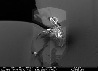 Registre-se para poder abrir essa imagem gratuitamente.