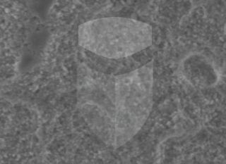 Registre-se para poder abrir essa imagem gratuitamente.