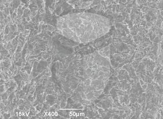 Registre-se para poder abrir essa imagem gratuitamente.