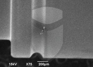 Registre-se para poder abrir essa imagem gratuitamente.