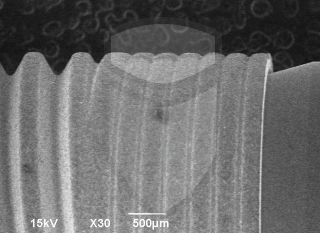 Registre-se para poder abrir essa imagem gratuitamente.