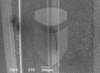 Registre-se para poder abrir essa imagem gratuitamente.