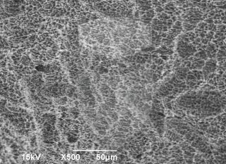 Registre-se para poder abrir essa imagem gratuitamente.