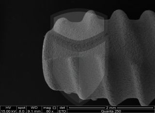 Registre-se para poder abrir essa imagem gratuitamente.