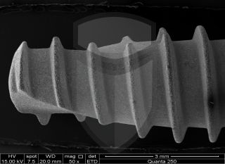 Registre-se para poder abrir essa imagem gratuitamente.