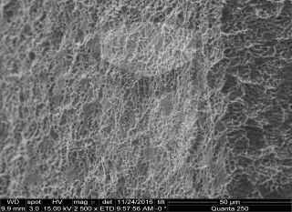 Registre-se para poder abrir essa imagem gratuitamente.