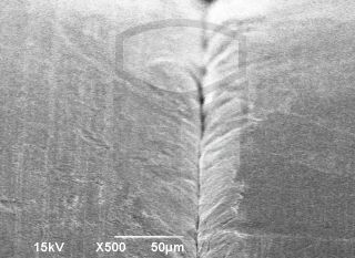 Registre-se para poder abrir essa imagem gratuitamente.