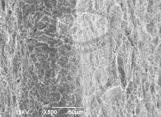 Registre-se para poder abrir essa imagem gratuitamente.