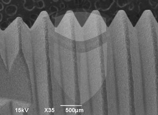 Registre-se para poder abrir essa imagem gratuitamente.