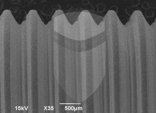 Registre-se para poder abrir essa imagem gratuitamente.