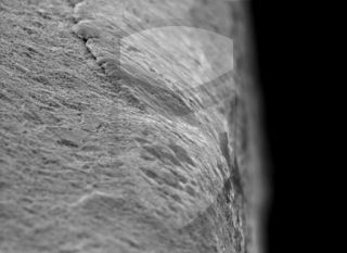 Registre-se para poder abrir essa imagem gratuitamente.