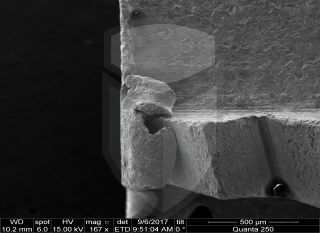 Registre-se para poder abrir essa imagem gratuitamente.