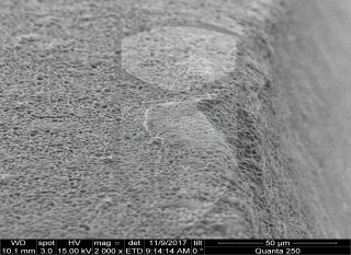 Registre-se para poder abrir essa imagem gratuitamente.