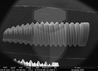 Registre-se para poder abrir essa imagem gratuitamente.