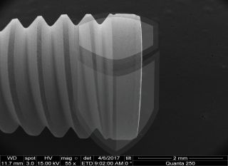 Registre-se para poder abrir essa imagem gratuitamente.