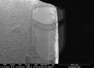 Registre-se para poder abrir essa imagem gratuitamente.