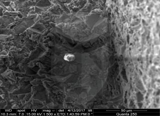 Registre-se para poder abrir essa imagem gratuitamente.