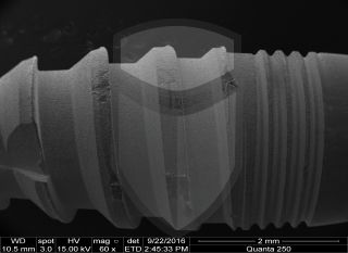 Registre-se para poder abrir essa imagem gratuitamente.