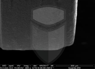 Registre-se para poder abrir essa imagem gratuitamente.