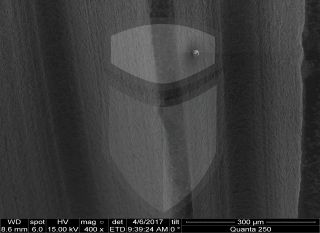 Registre-se para poder abrir essa imagem gratuitamente.