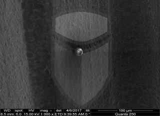 Registre-se para poder abrir essa imagem gratuitamente.