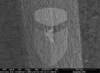 Registre-se para poder abrir essa imagem gratuitamente.