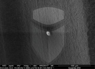 Registre-se para poder abrir essa imagem gratuitamente.