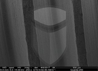 Registre-se para poder abrir essa imagem gratuitamente.