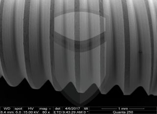 Registre-se para poder abrir essa imagem gratuitamente.