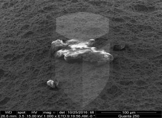 Registre-se para poder abrir essa imagem gratuitamente.