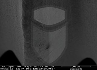 Registre-se para poder abrir essa imagem gratuitamente.