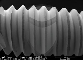 Registre-se para poder abrir essa imagem gratuitamente.