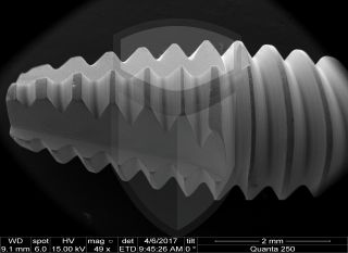 Registre-se para poder abrir essa imagem gratuitamente.