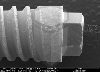 Registre-se para poder abrir essa imagem gratuitamente.