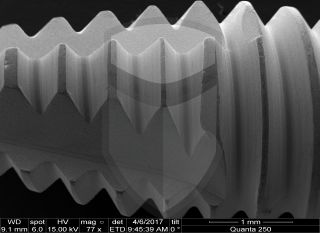 Registre-se para poder abrir essa imagem gratuitamente.