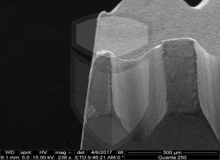 Registre-se para poder abrir essa imagem gratuitamente.