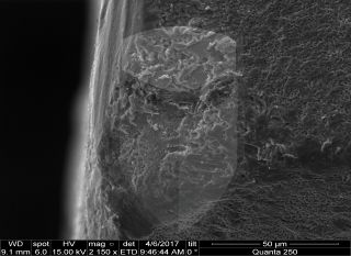 Registre-se para poder abrir essa imagem gratuitamente.