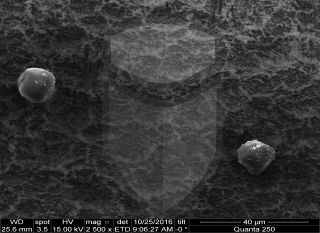 Registre-se para poder abrir essa imagem gratuitamente.